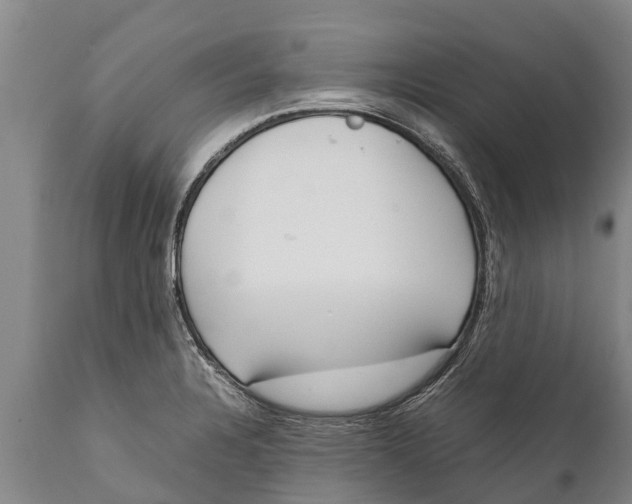 X0000111921328200908171315