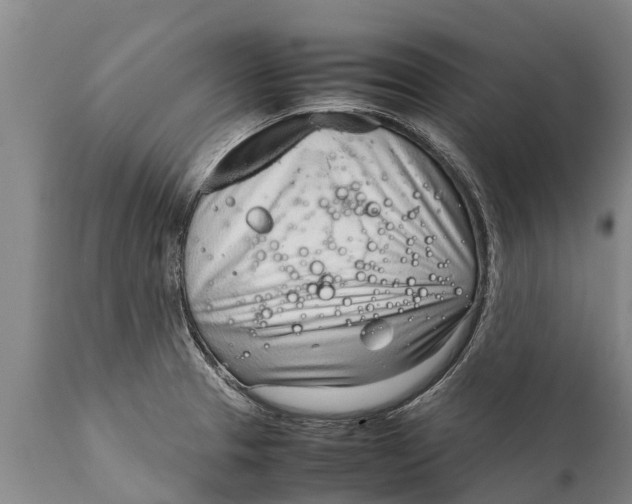 X0000111921329200908171315