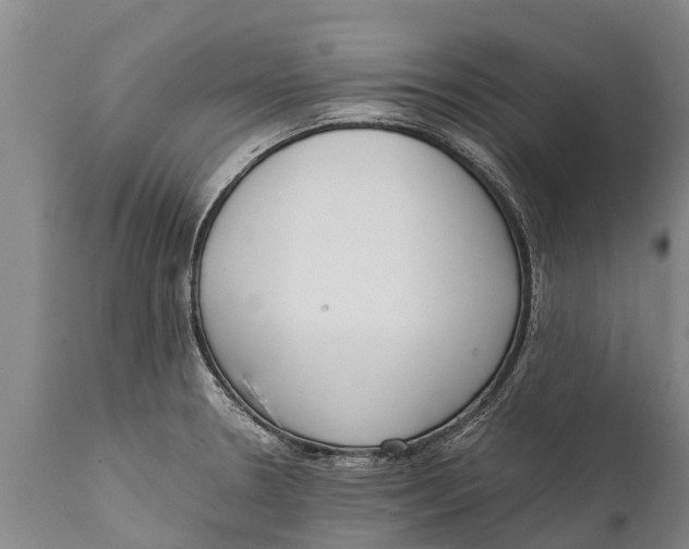 X0000111921330200908171315