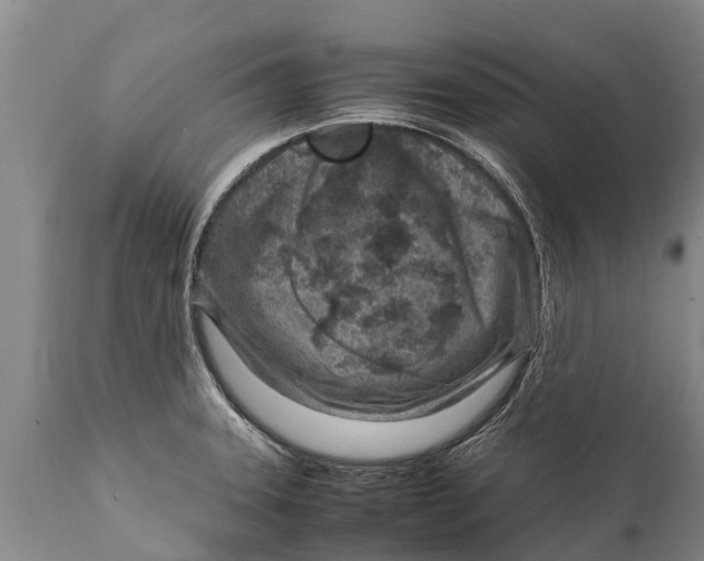 X0000111921331200908171315