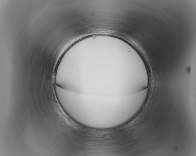 X0000111921332200908171315