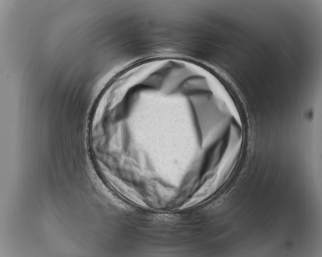 X0000111921333200908171315