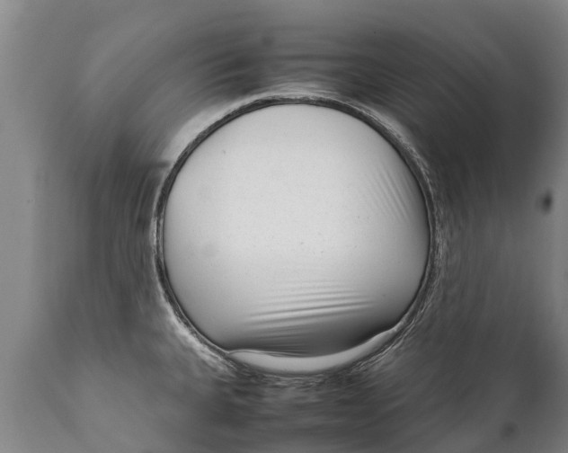 X0000111921335200908171315