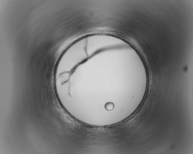 X0000111921336200908171316