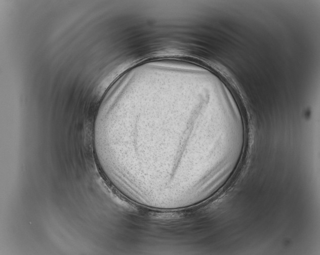 X0000111921337200908171316