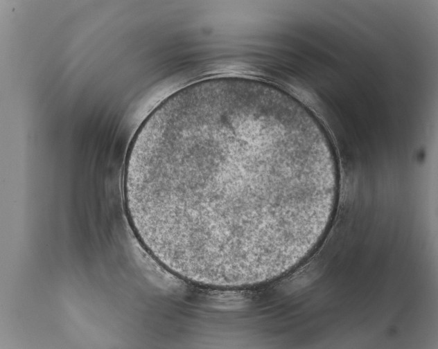 X0000111921338200908171316