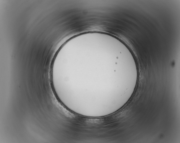 X0000111921339200908171316