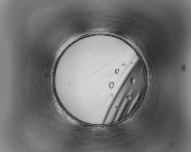 X0000111921341200908171316