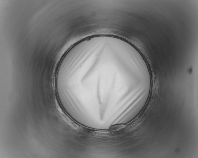 X0000111921342200908171316