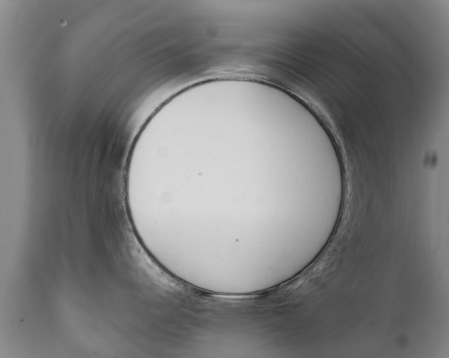 X0000111921344200908171316