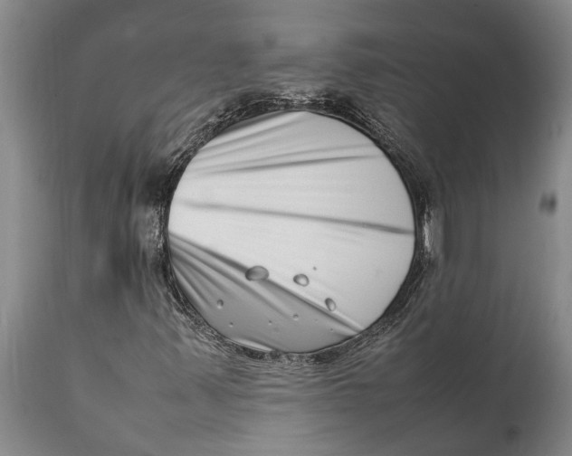 X0000111921347200908171315