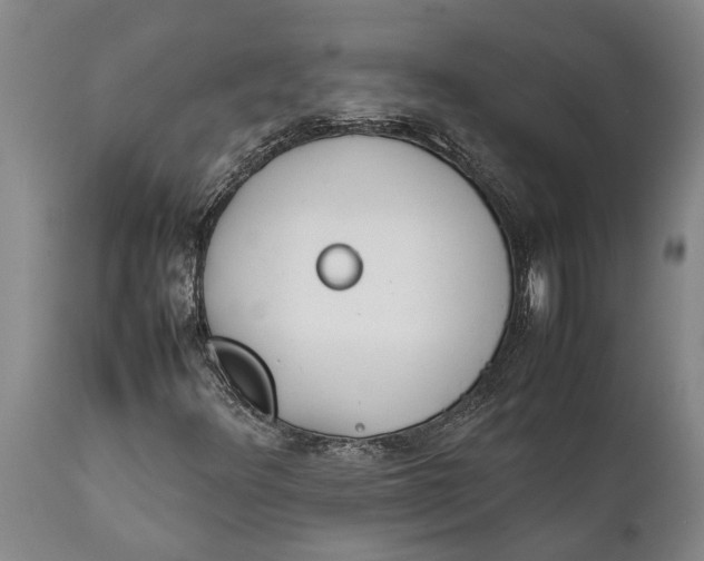 X0000111921348200908171315