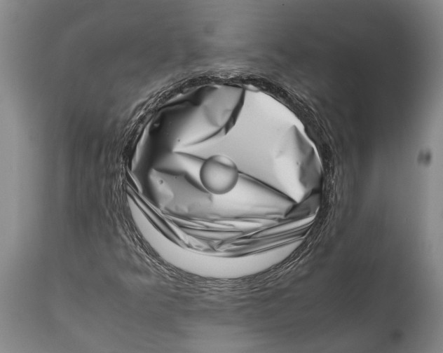 X0000111921349200908171315