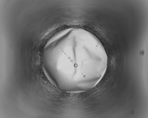 X0000111921350200908171315