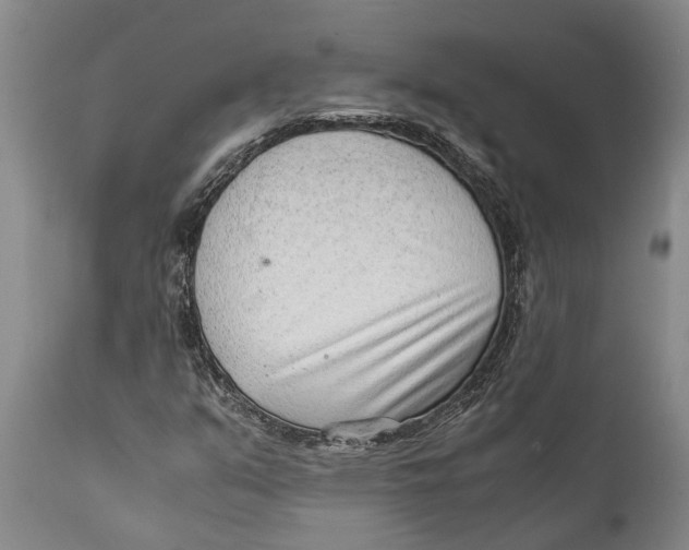 X0000111921351200908171315