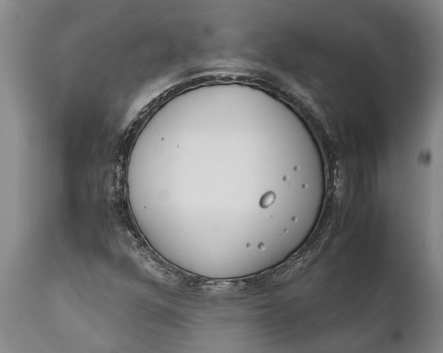 X0000111921352200908171315