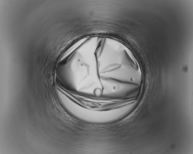 X0000111921353200908171315