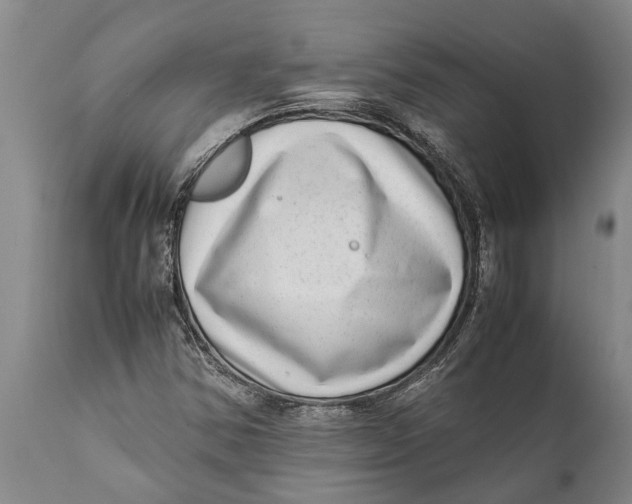 X0000111921354200908171315