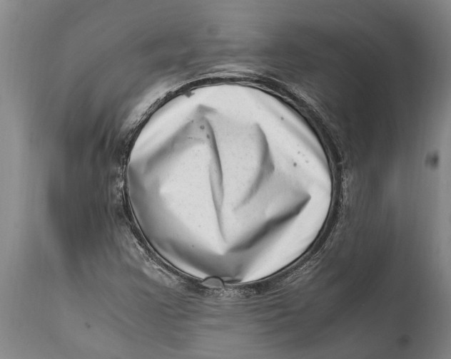 X0000111921355200908171315