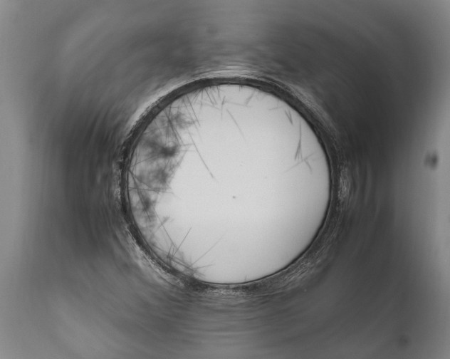 X0000111921356200908171315