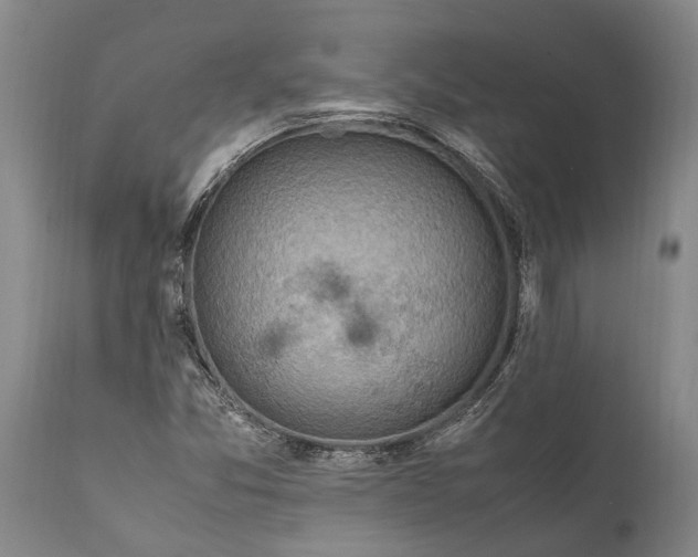 X0000111921357200908171315