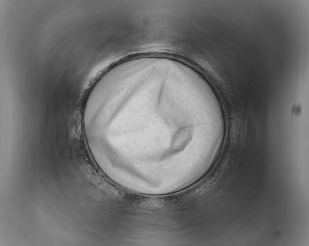 X0000111921358200908171315