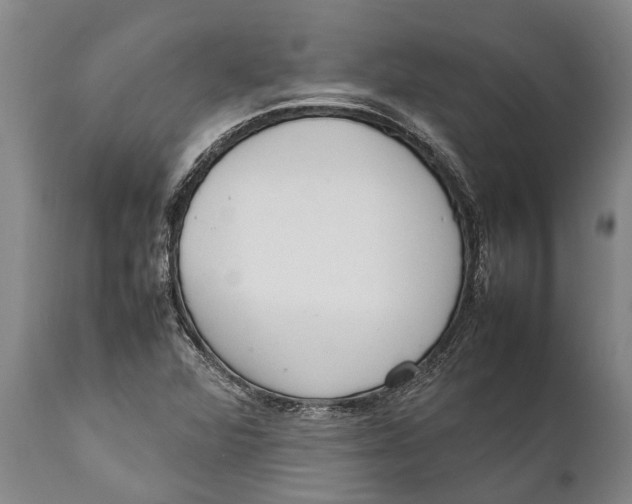 X0000111921360200908171315