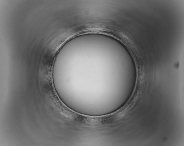 X0000111921361200908171315