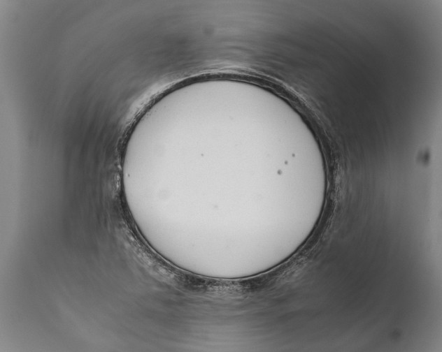 X0000111921363200908171315