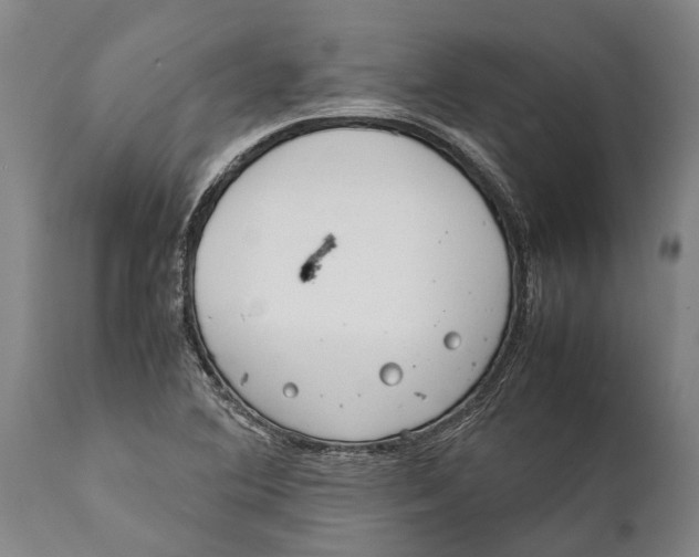 X0000111921364200908171315