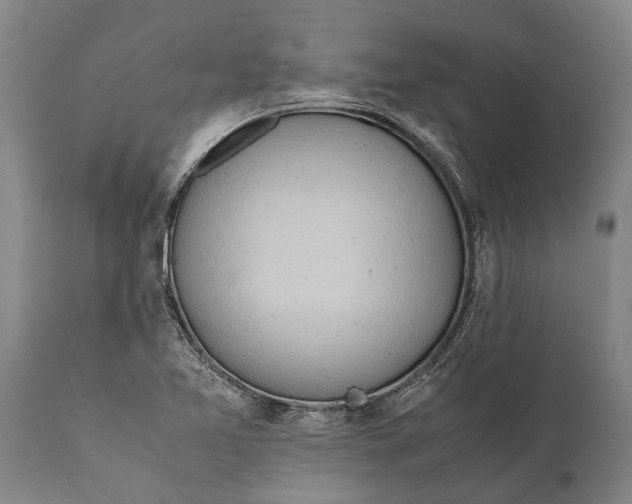 X0000111921365200908171315