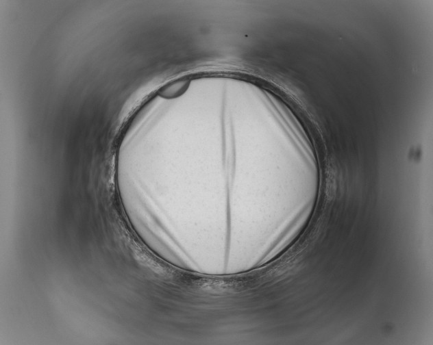 X0000111921366200908171315