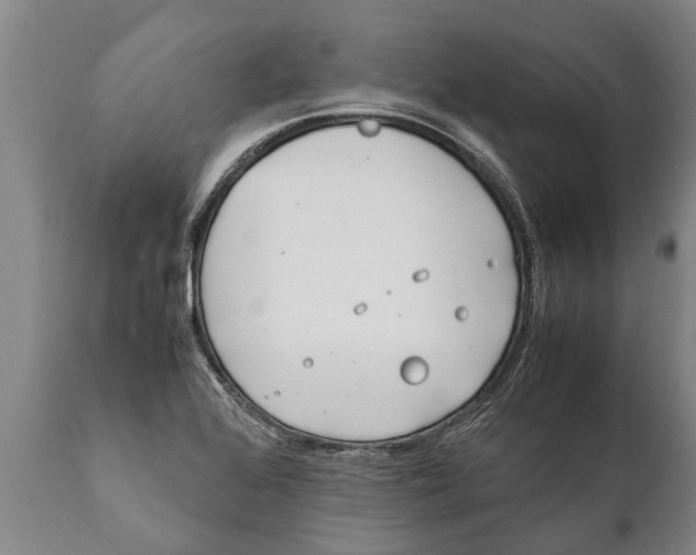 X0000111921368200908171315