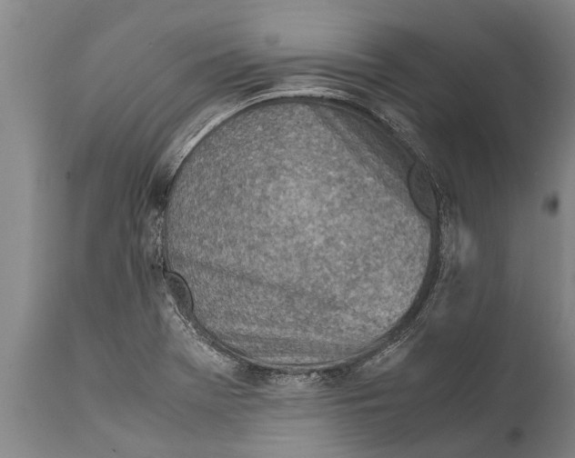 X0000111921369200908171315