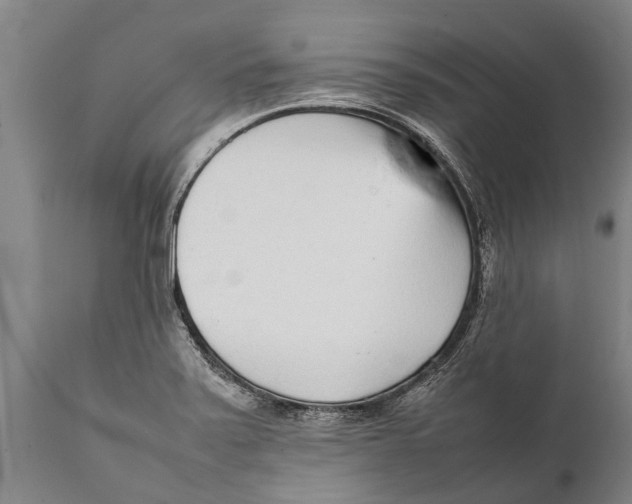 X0000111921371200908171315