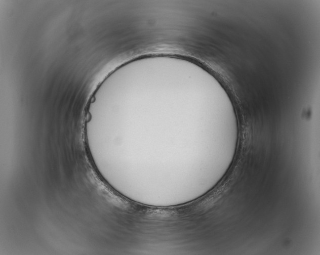 X0000111921374200908171315