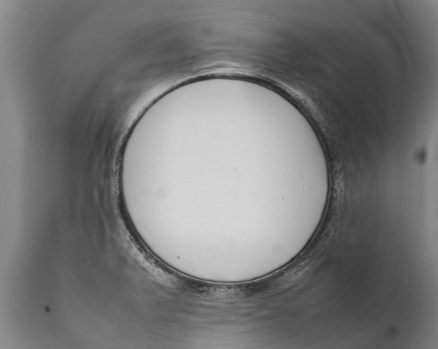 X0000111921375200908171315