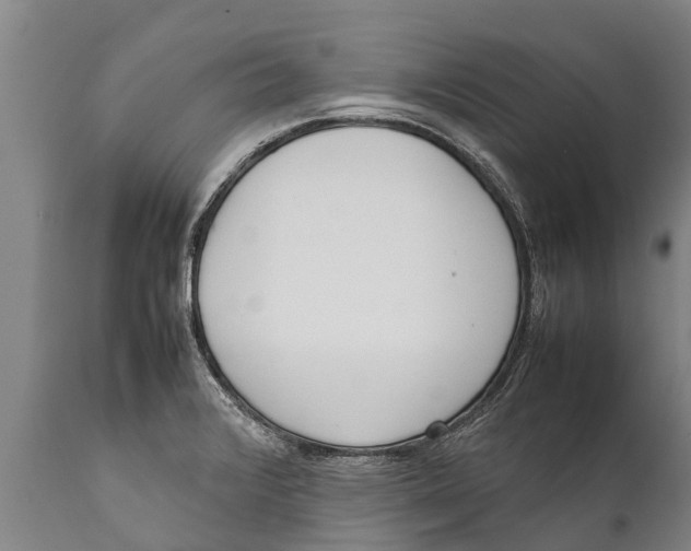 X0000111921376200908171315