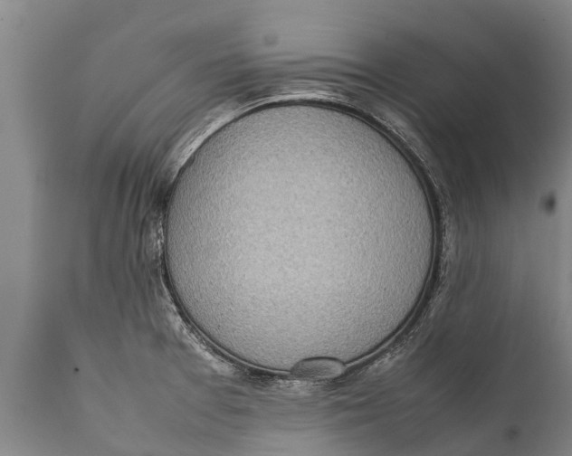 X0000111921377200908171315