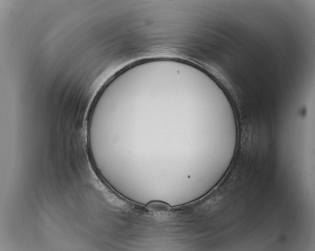 X0000111921380200908171314