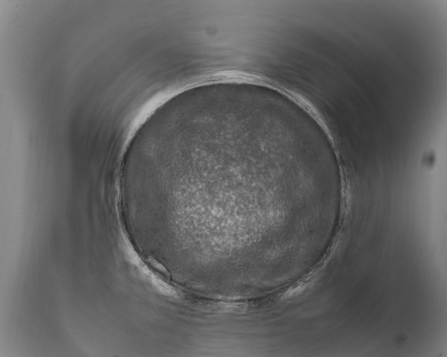 X0000111921381200908171314