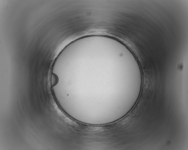 X0000111921382200908171314