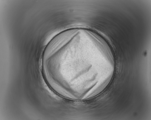 X0000111921383200908171314