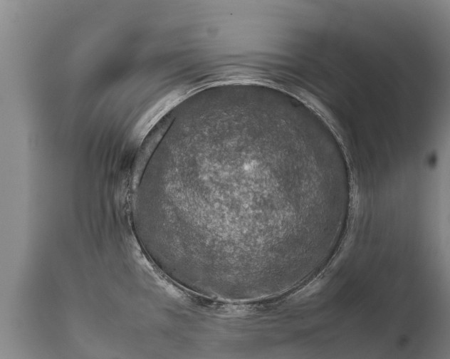 X0000111921385200908171314