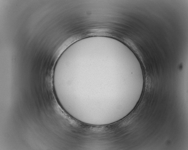 X0000111921386200908171314