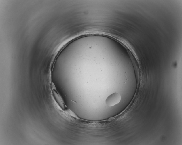 X0000111921388200908171314