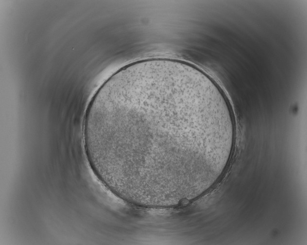 X0000111921389200908171314