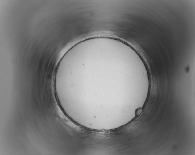 X0000111921390200908171314