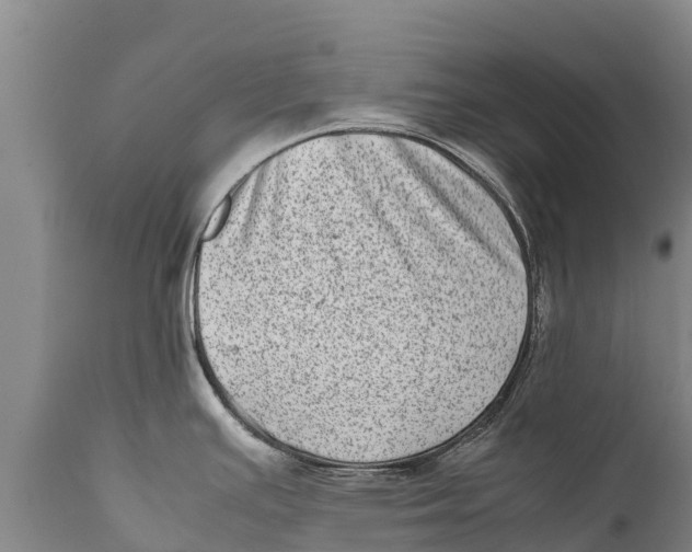 X0000111921391200908171314