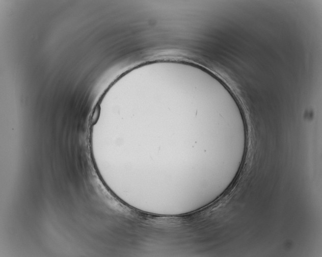 X0000111921392200908171314